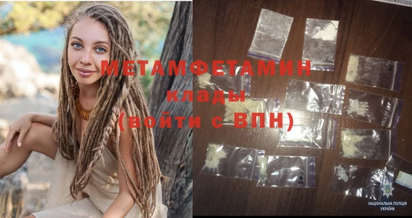 крисы Мегион