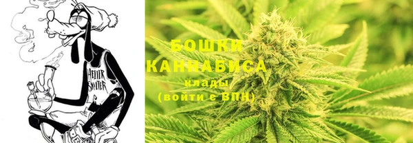 крисы Мегион