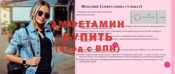 стаф Медногорск