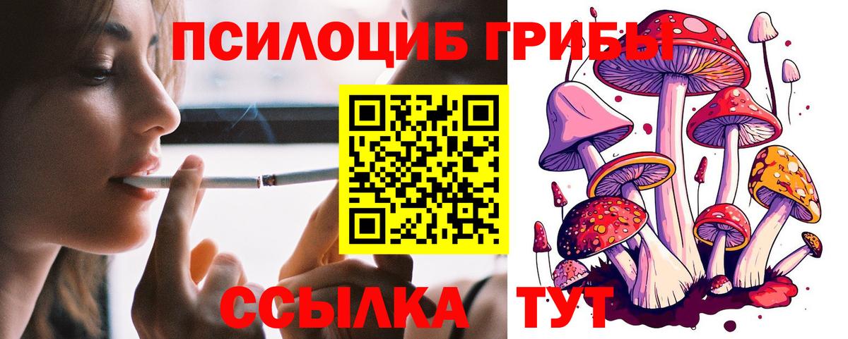 Луга  Галлюциногенные грибы ЛСД  Псилоцибиновые грибы мухоморы  Вход с VPN 