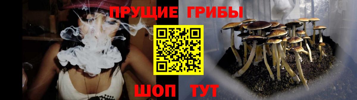 Галлюциногенные грибы Magic Shrooms Луга